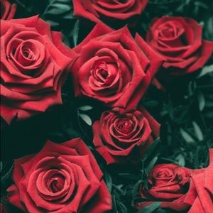 Plus Size: Empty the Closet! Sizes 26-22; 3x - 1x